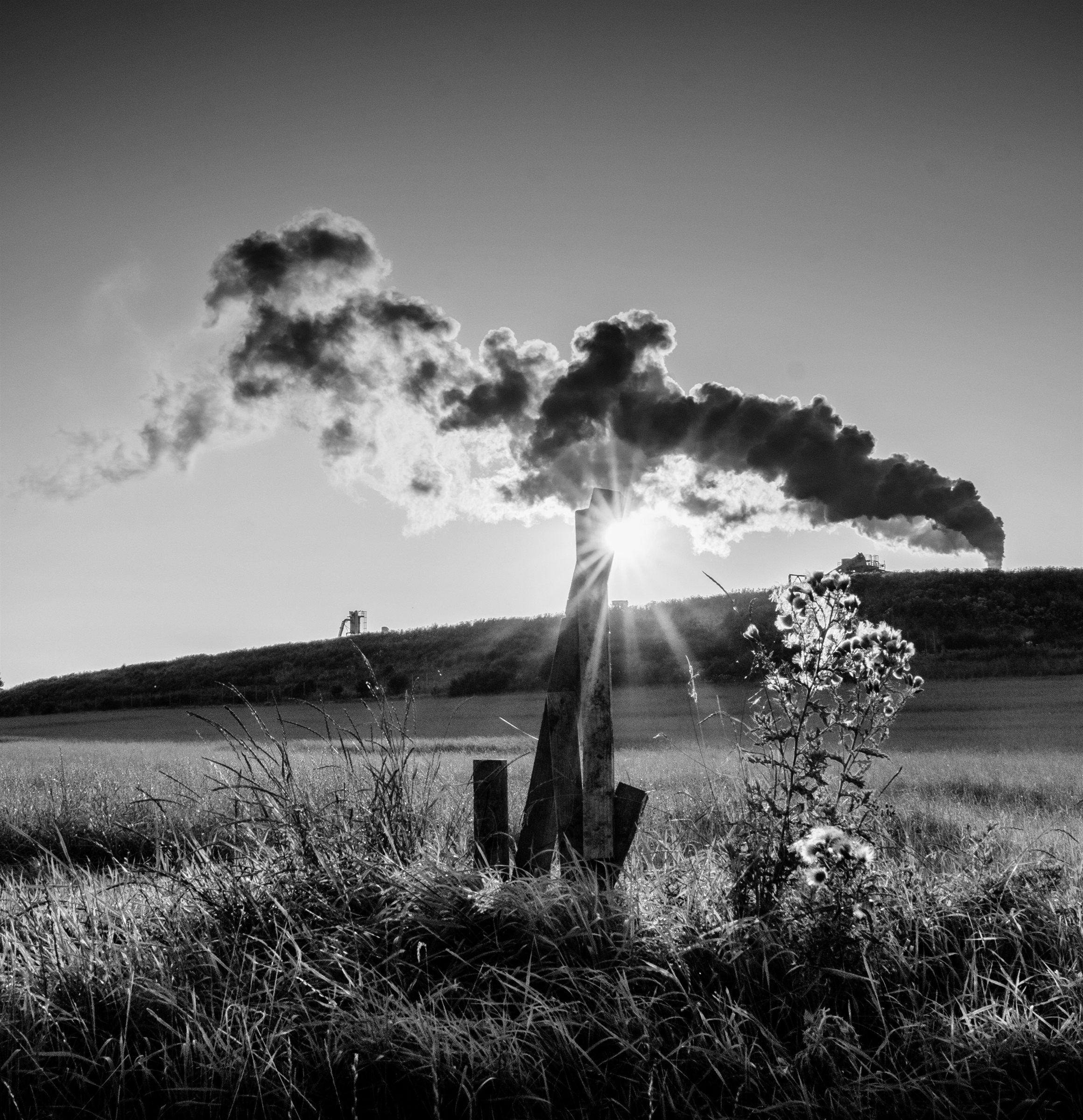 A chimney plume drifting over a field, the sun low behind it