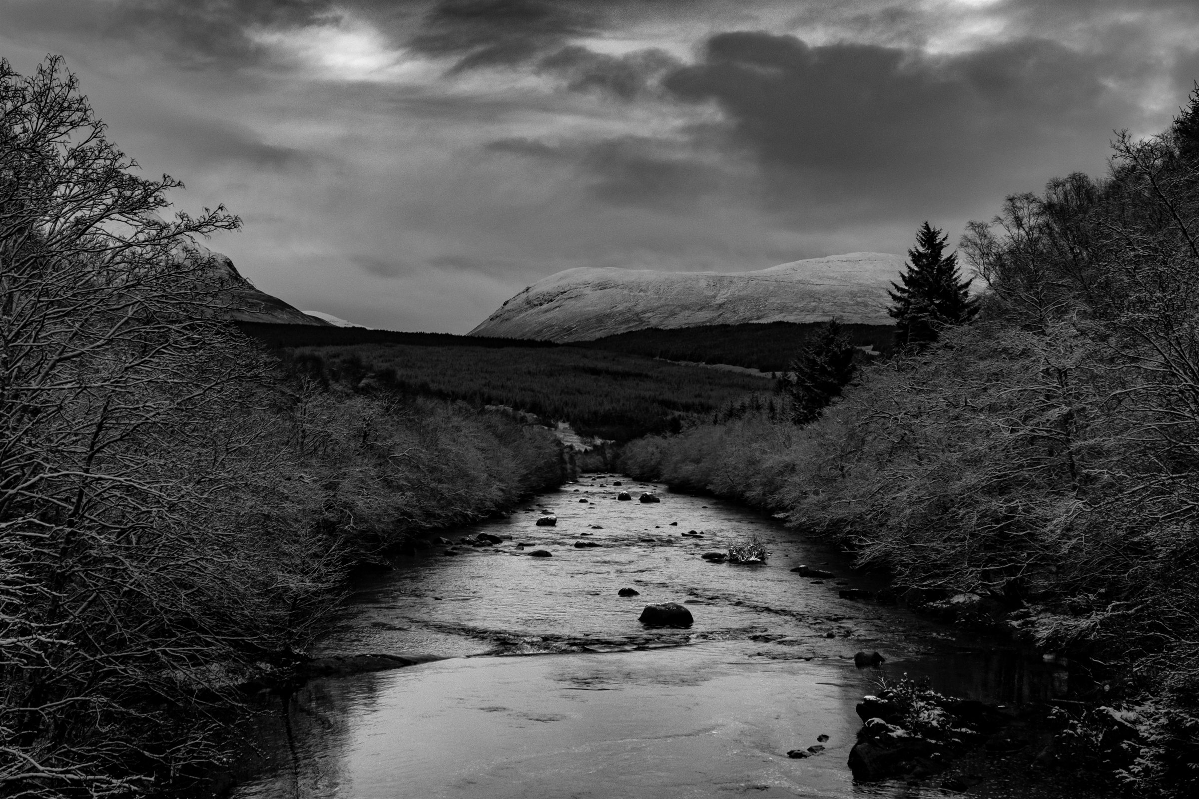 A river running between bare trees towards distant hills