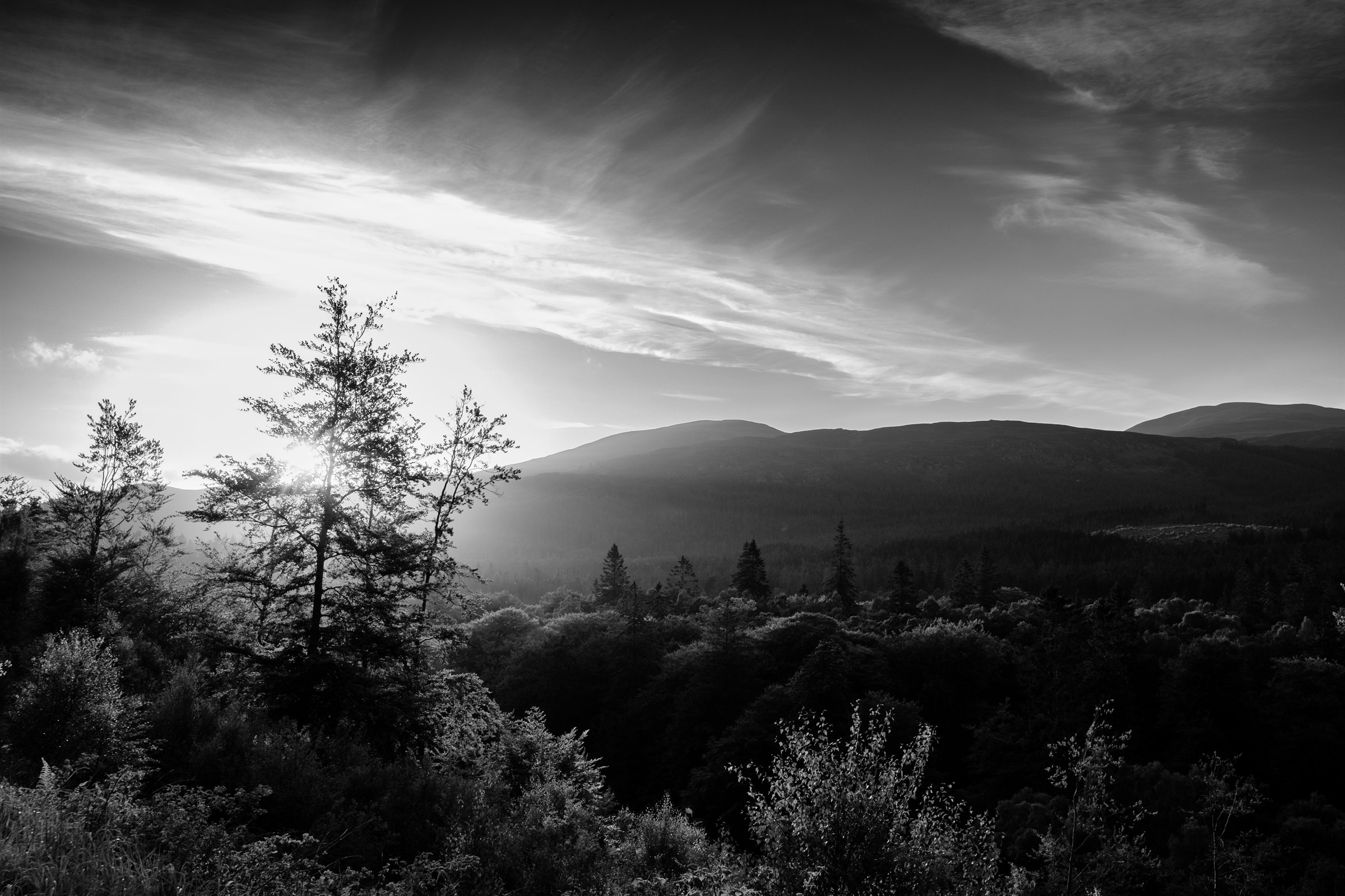 The sun behind a tree above forested hills