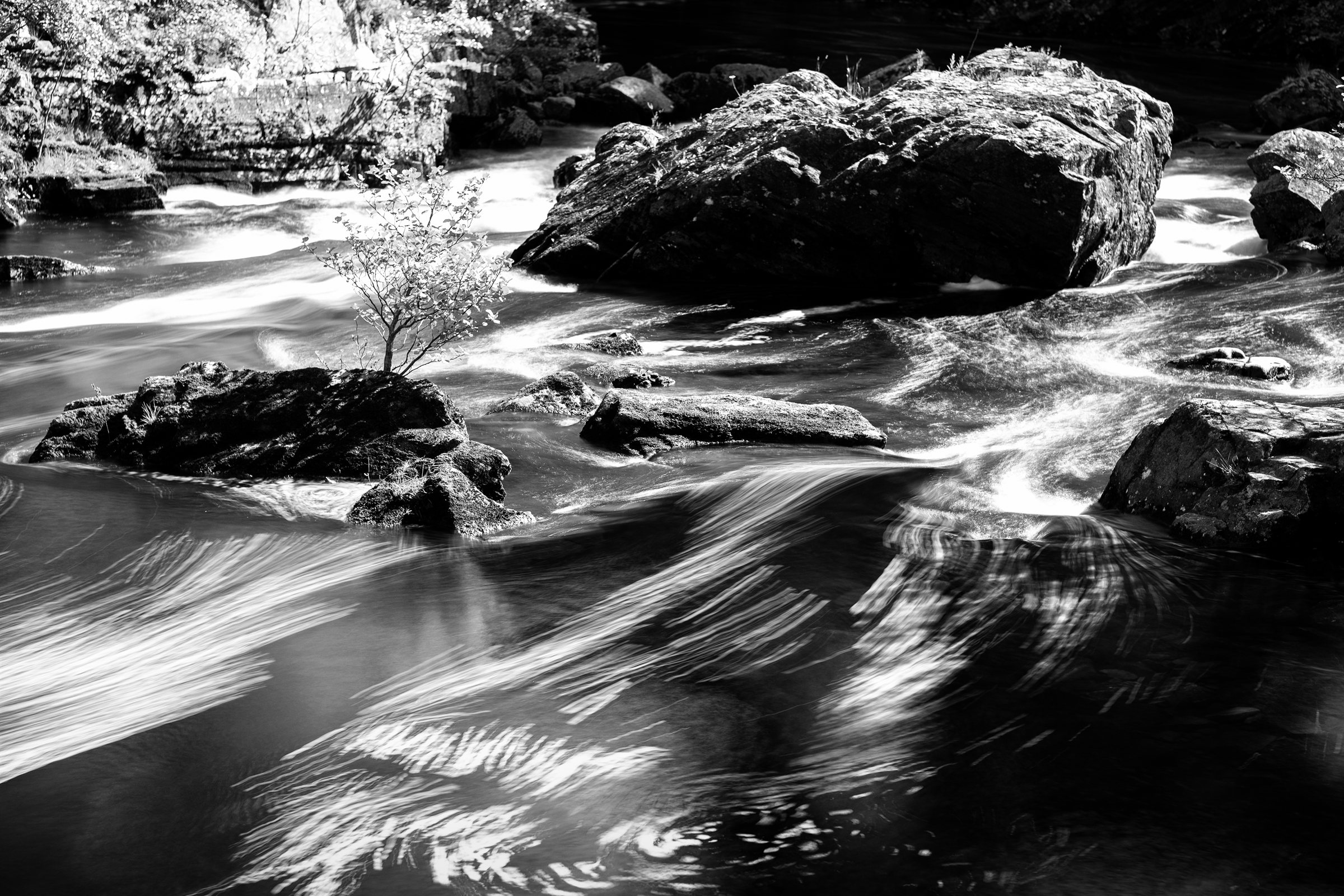 A river rushing white between dark boulders