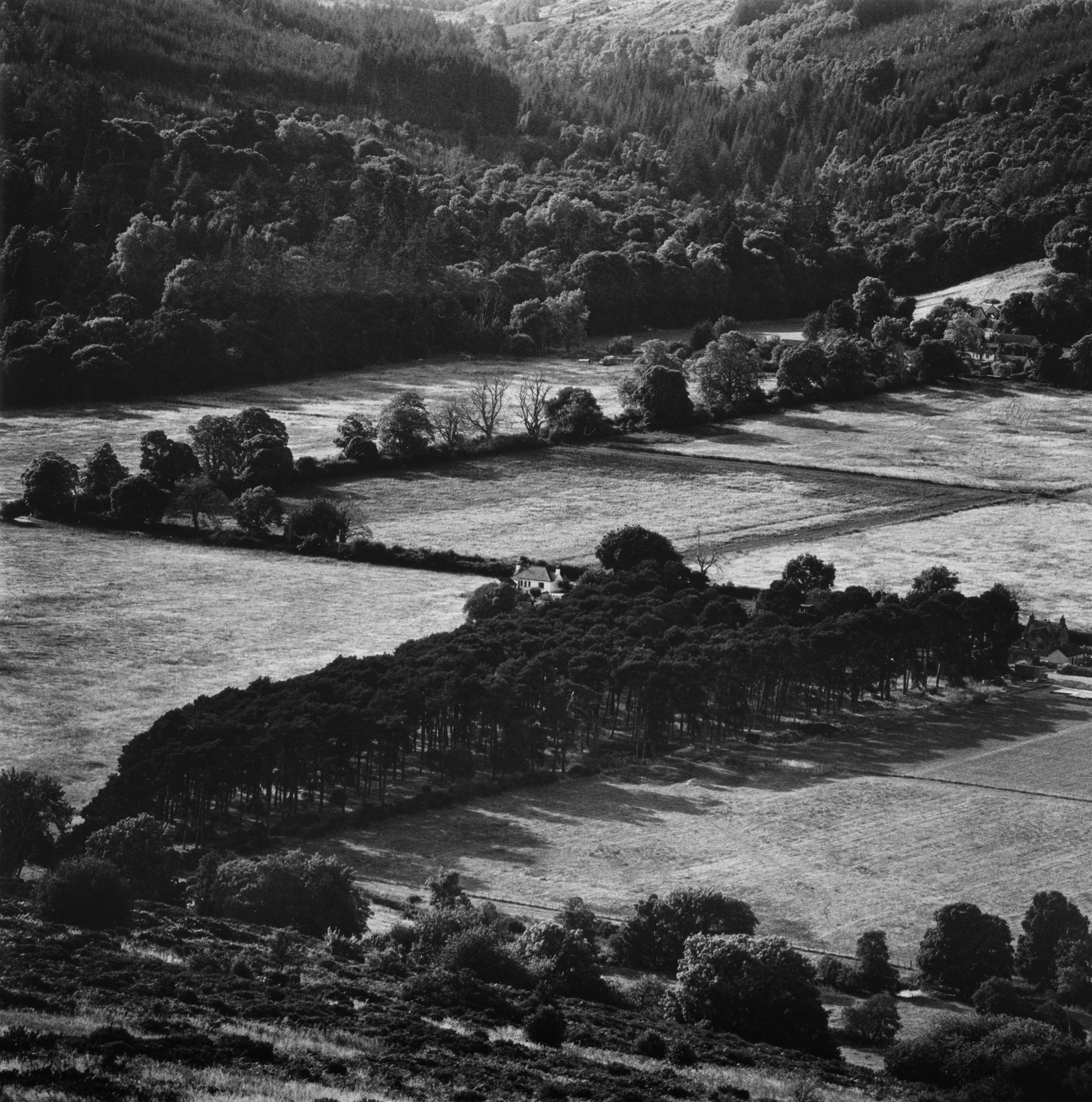 Fields, woods and a white cottage in a valley