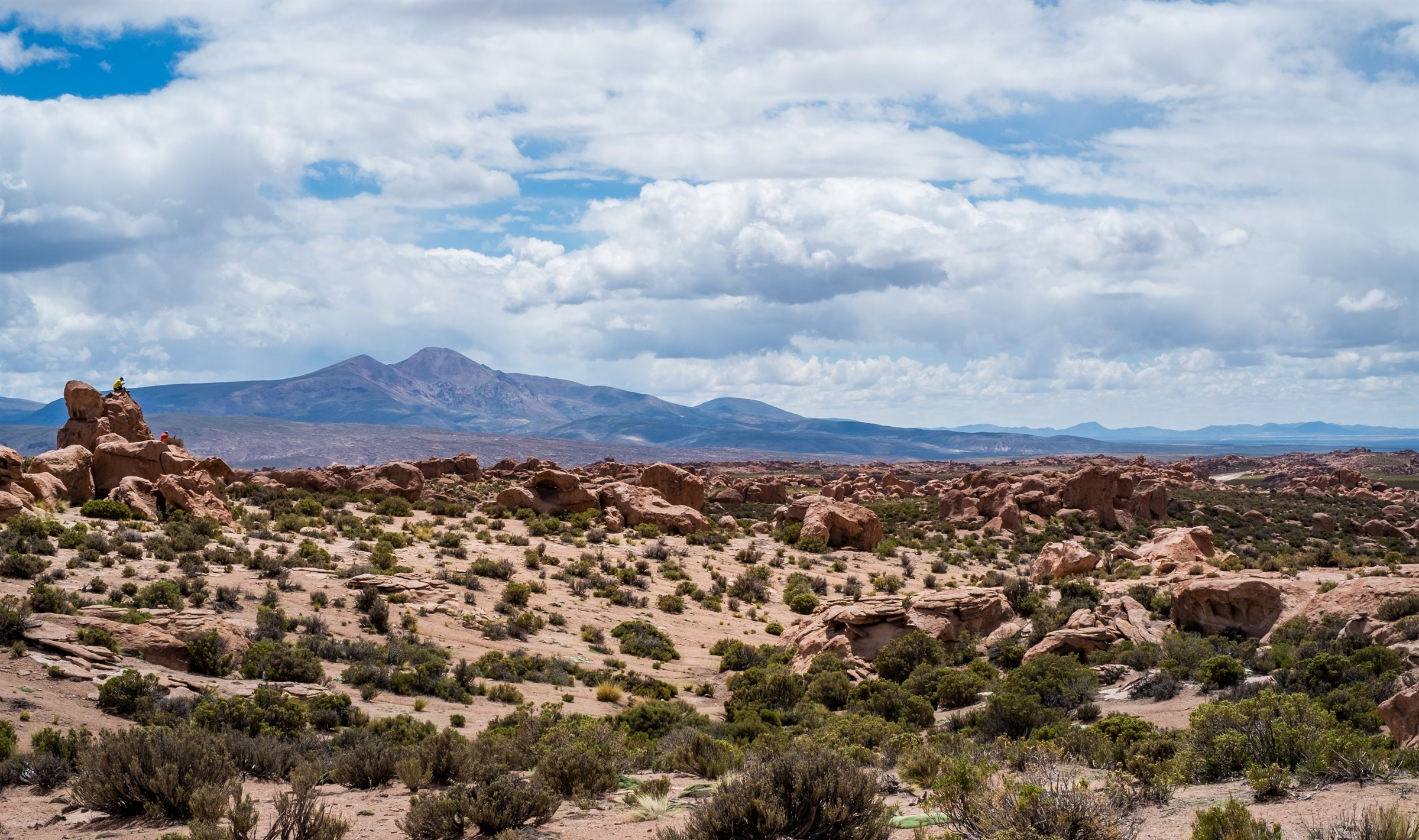 Rocks and scrub in the desert below distant mountains