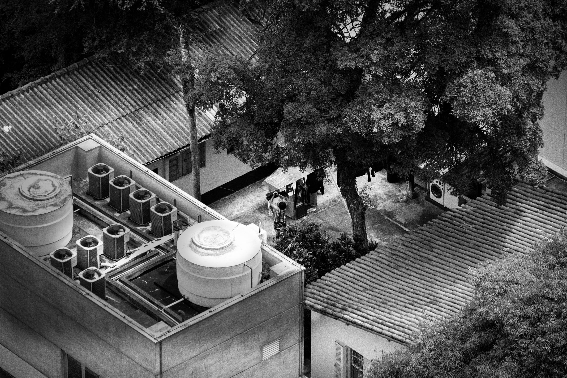Water tanks on a rooftop beside a tree