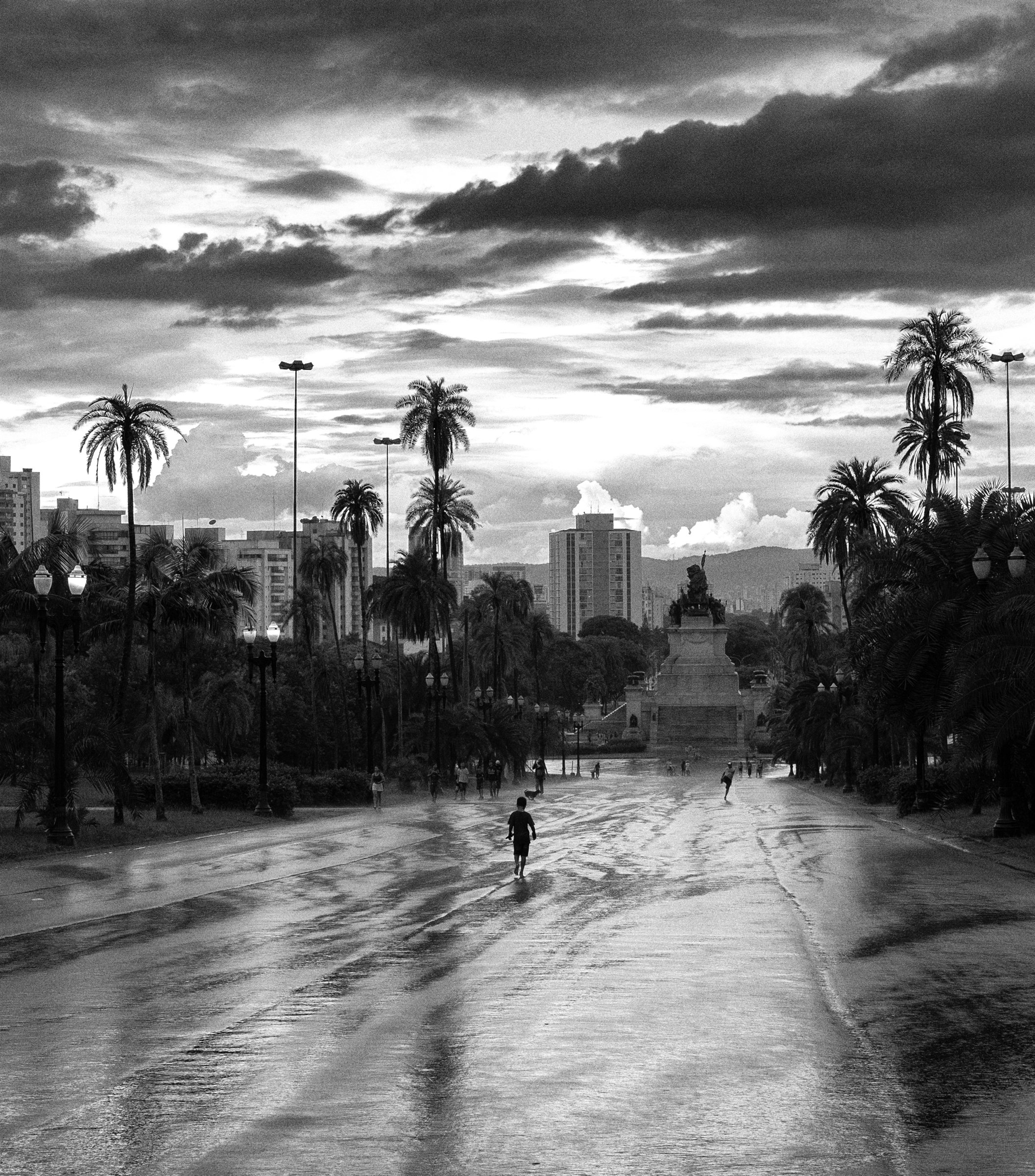 A wet avenue between palms leading to a domed building