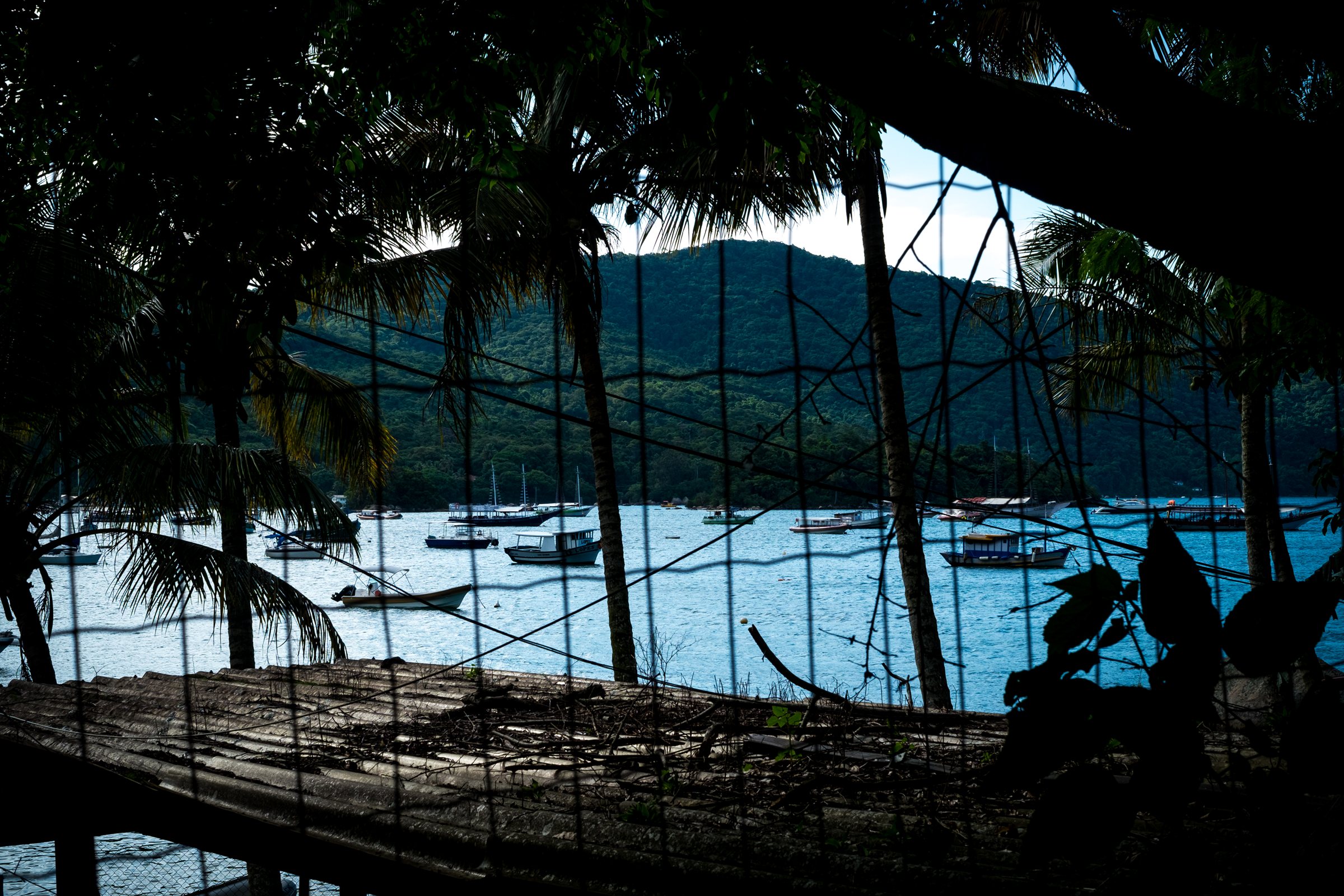 A bay seen through palms from a shaded terrace