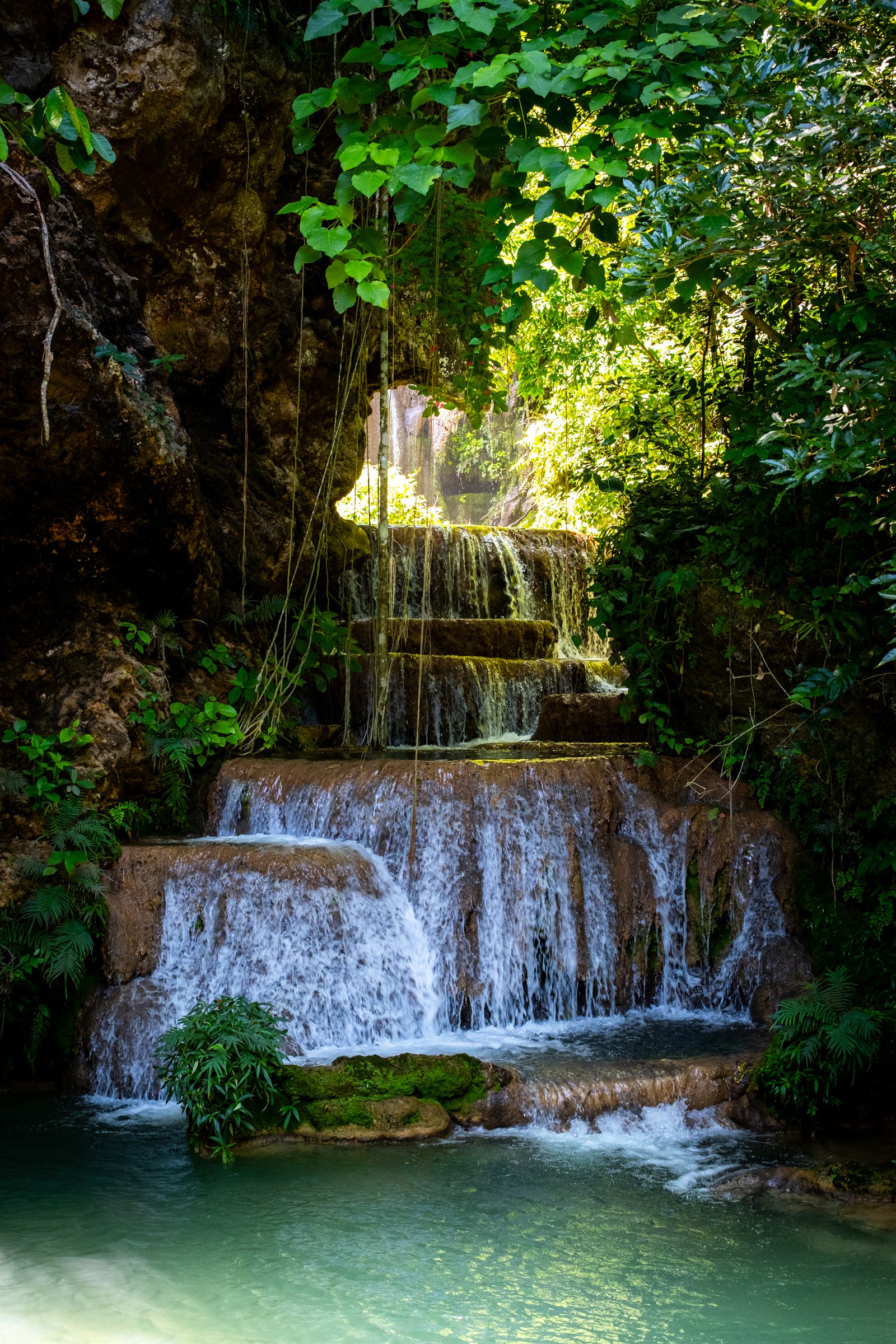 A waterfall spilling into a turquoise pool beneath green foliage