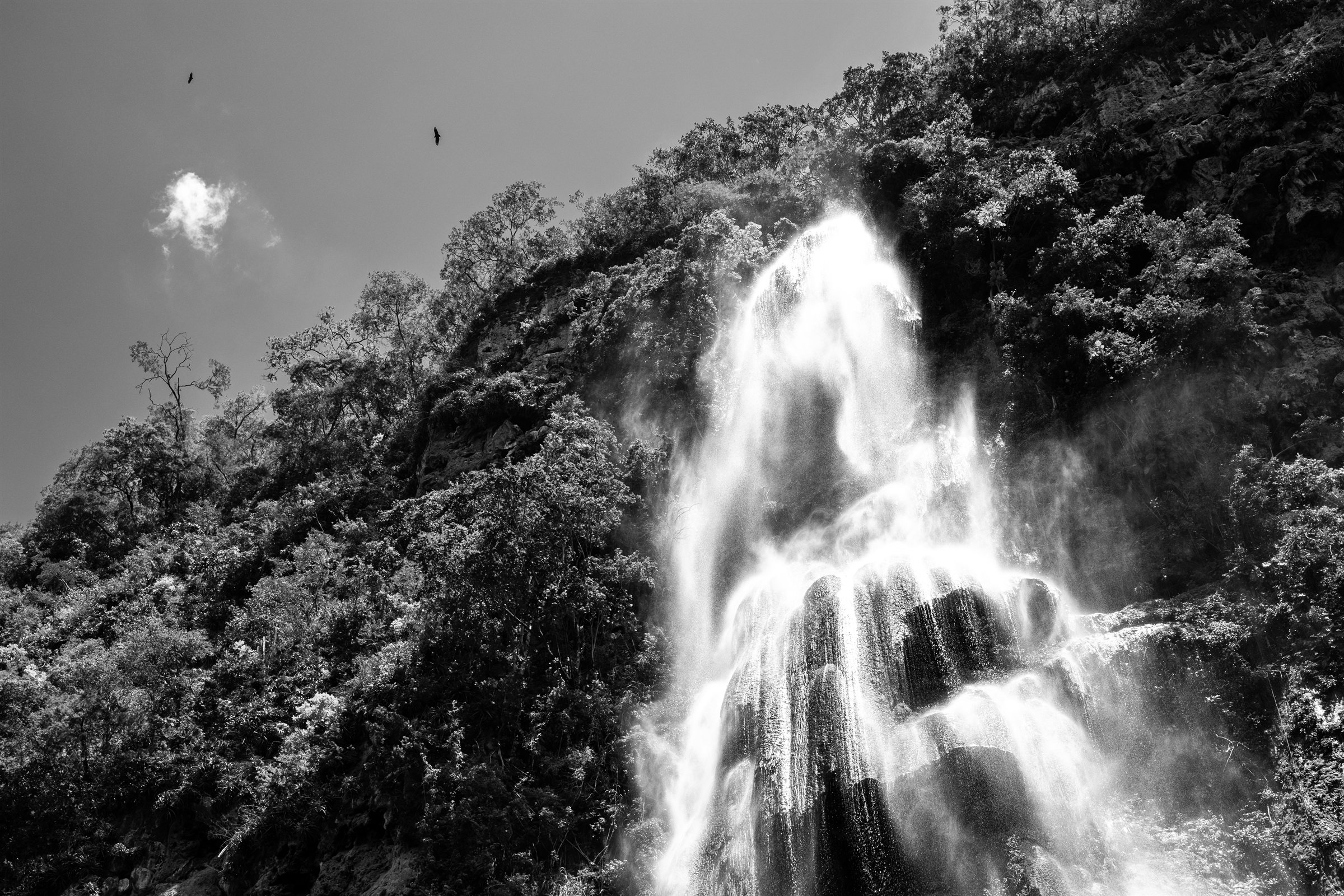 A waterfall pouring through the forest